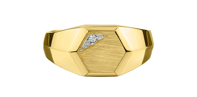 10K Yellow Gold 0.01cttw Diamond Signet Ring, Unisex