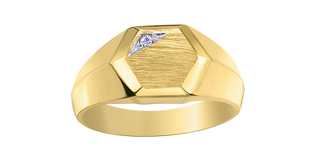 10K Yellow Gold 0.01cttw Diamond Signet Ring, Unisex