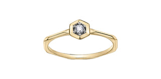 10K Yellow Gold 0.05cttw Diamond Ring