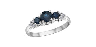 10K White Gold Sapphire and Diamond ring