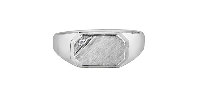 10K White Gold 0.007cttw Diamond Signet Ring