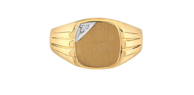 10K Yellow Gold 0.01cttw Diamond Men&#39;s Signet  Ring, size 9