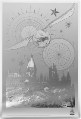 1 oz Harry Potter Movie Posters: Harry Potter and The Philosophers Stone Colourized Silver Foil | Agoro by New Zealand Mint