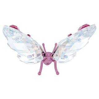 Swarovski - Idyllia Butterfly, Small 5691959