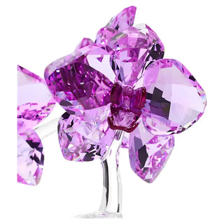 Orquídea de flores de cristal Swarovski - Core 5520373 