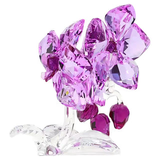 Orquídea de flores de cristal Swarovski - Core 5520373 