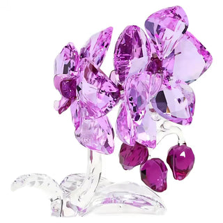 Orquídea de flores de cristal Swarovski - Core 5520373 