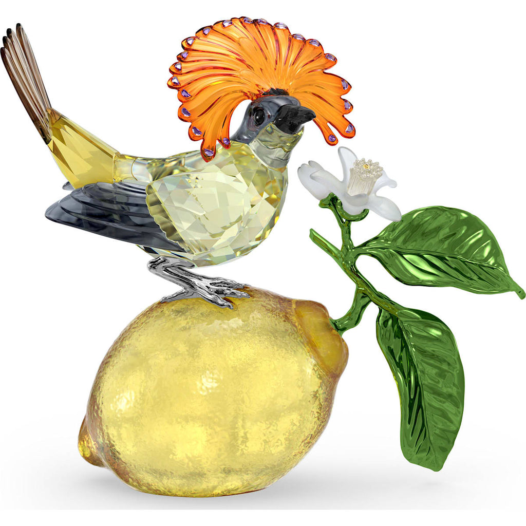 Swarovski Idyllia Royal Flycatcher - 5651811 – Dana Dow Jewellers
