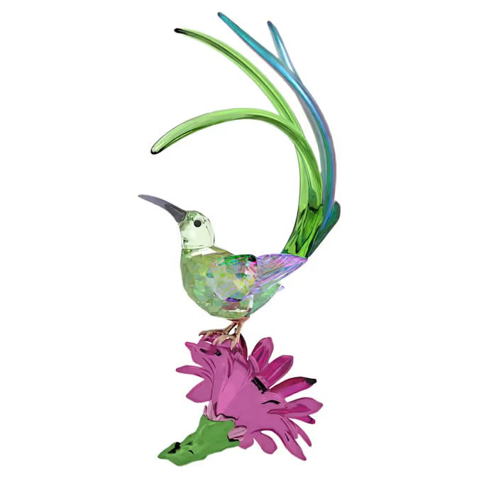 Swarovski Idyllia Sugarbird and Cactus Flower 5675166