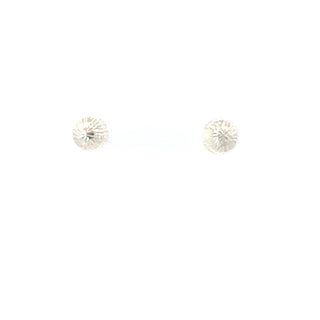 925 Sterling Silver  Earrings