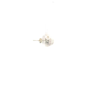 925 Sterling Silver  Earrings