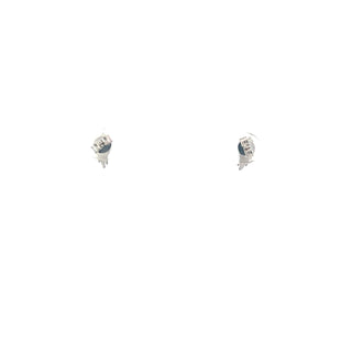 925 Sterling Silver  Earrings