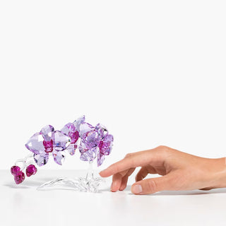 Swarovski Crystal Flowers Orchid - Core 5520373