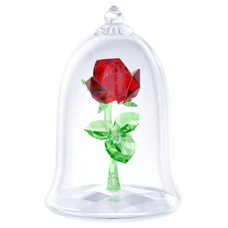 Beauty and the Beast: Enchanted Rose - 5230478