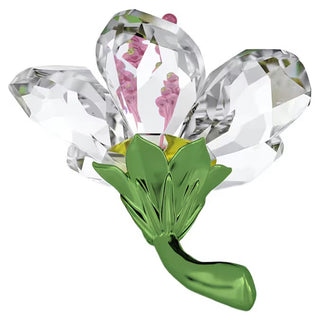 Swarovski - Florere Hibiscus, Small 5690534