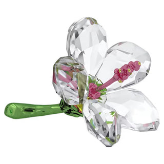 Swarovski - Florere Hibiscus, Small 5690534