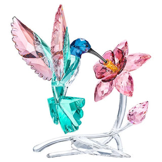 Swarovski Hummingbird 5728071