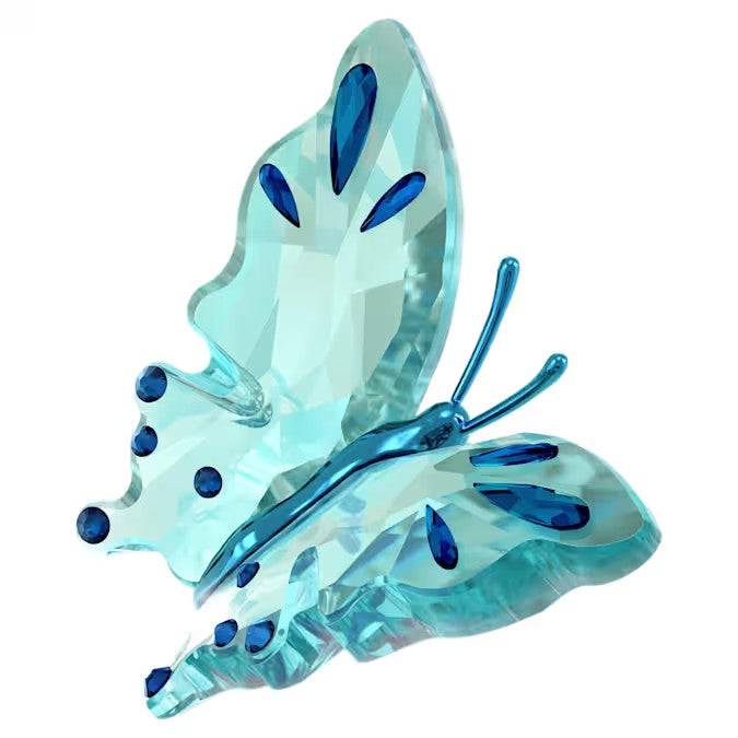 Swarovski Idyllia Butterfly, Turquoise 5721539