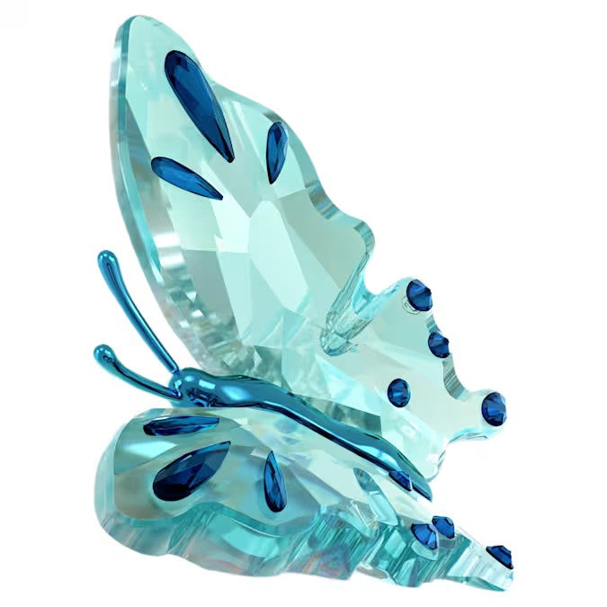 Swarovski Idyllia Butterfly, Turquoise 5721539