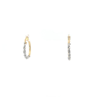 10K Yellow and White Gold Earrings