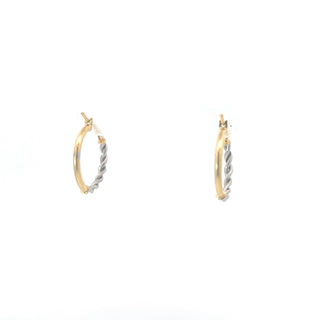 10K Yellow and White Gold Earrings