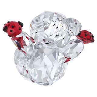 Kris Bear - Good Luck Bear - 5675983