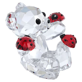 Kris Bear - Good Luck Bear - 5675983