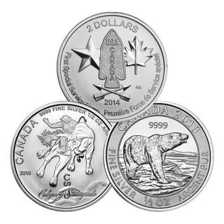 1/2 oz Assorted Silver Coin | Royal Canadian Mint
