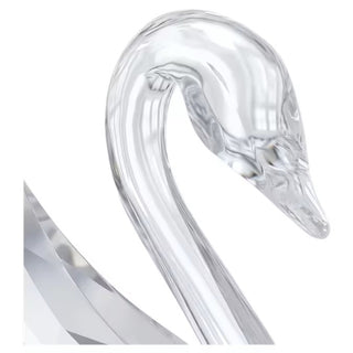Signum Cisne, Cisne - 5613254 