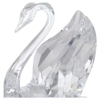 Signum Cisne, Cisne - 5613254 