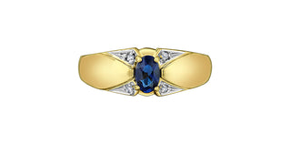 10K Yellow Gold Men’s Sapphire and Diamond Ring