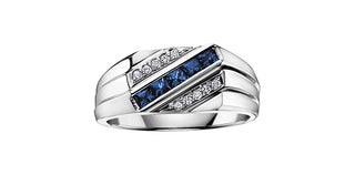 10K White Gold Men’s Sapphire and Diamond Ring