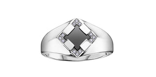 10K White Gold Men’s Onyx and Diamond Ring
