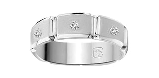 10K White Gold Men’s Diamond Ring
