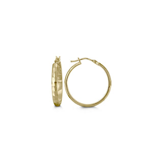Gold hoop earrings on a white background