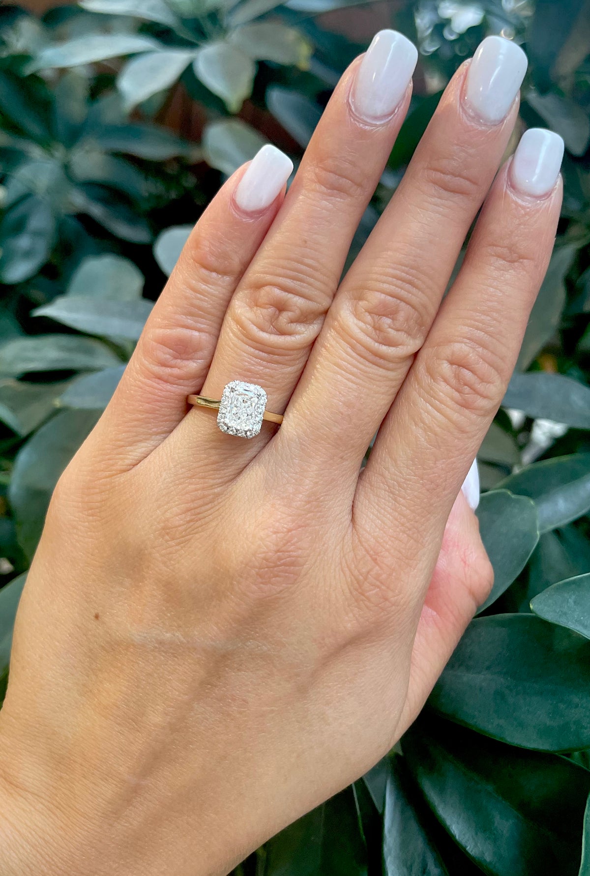 Hand wearing a diamond ring with a green leafy background