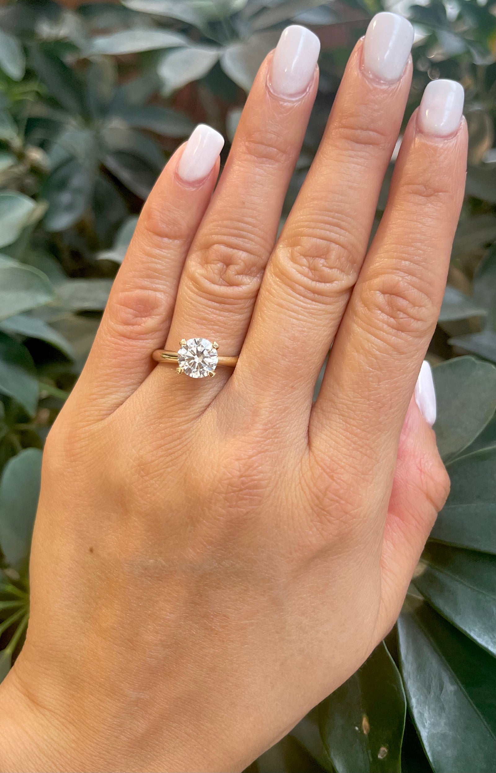 Hand wearing a diamond ring with a blurred green leafy background