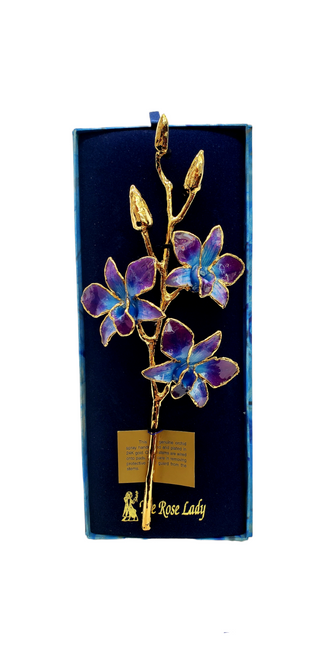 24K Gold Dipped Lacquered Genuine Purple and Blue Real Orchid Stem