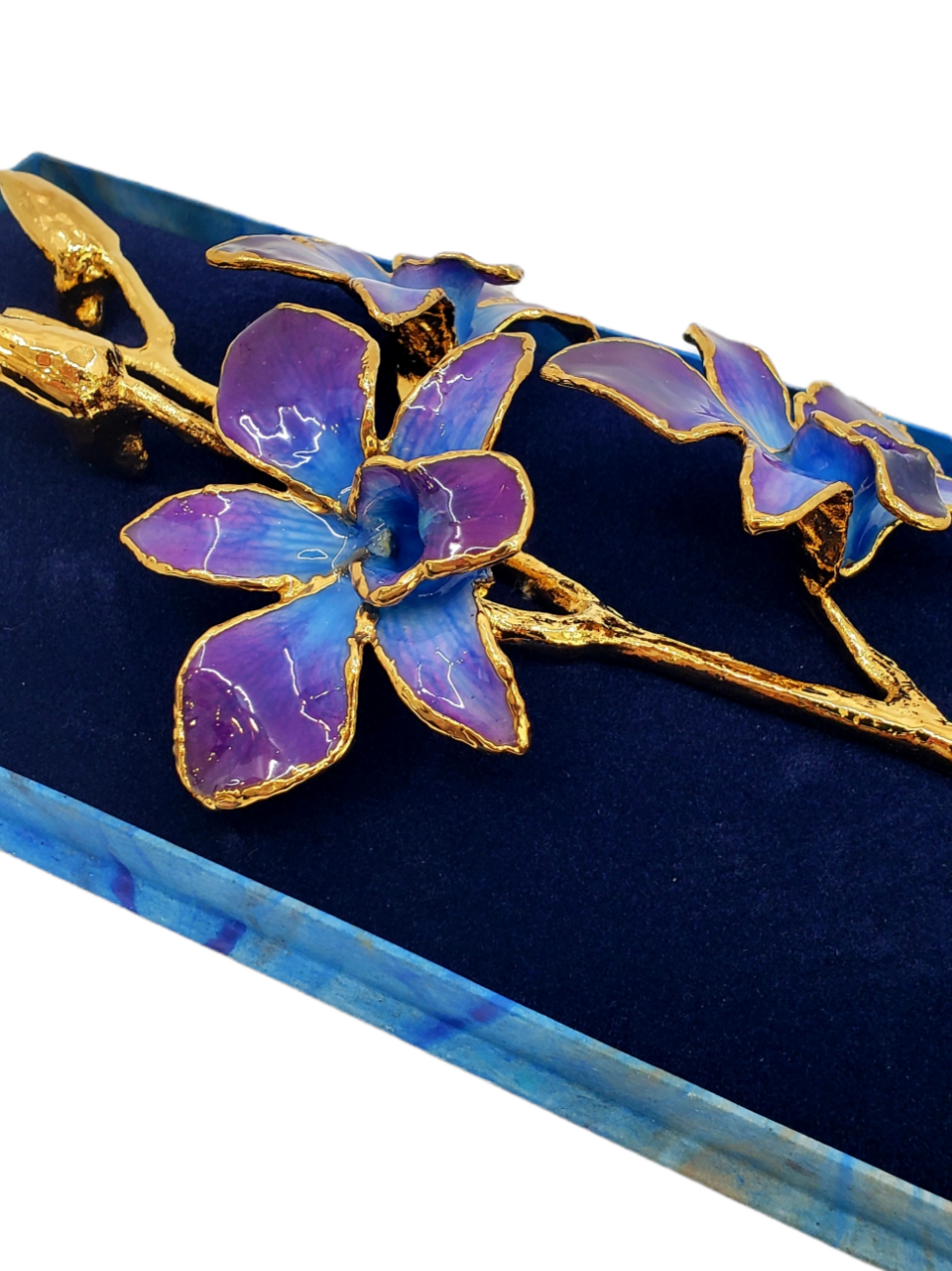 24K Gold Dipped Lacquered Genuine Purple and Blue Real Orchid Stem