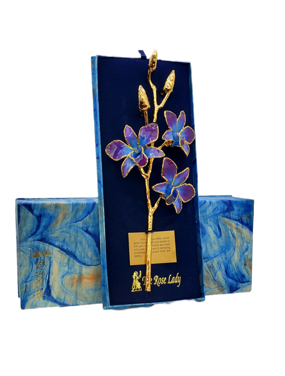 24K Gold Dipped Lacquered Genuine Purple and Blue Real Orchid Stem