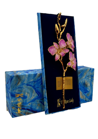 Tallo de orquídea real lacado en oro de 24 quilates, color lila auténtico y blanco