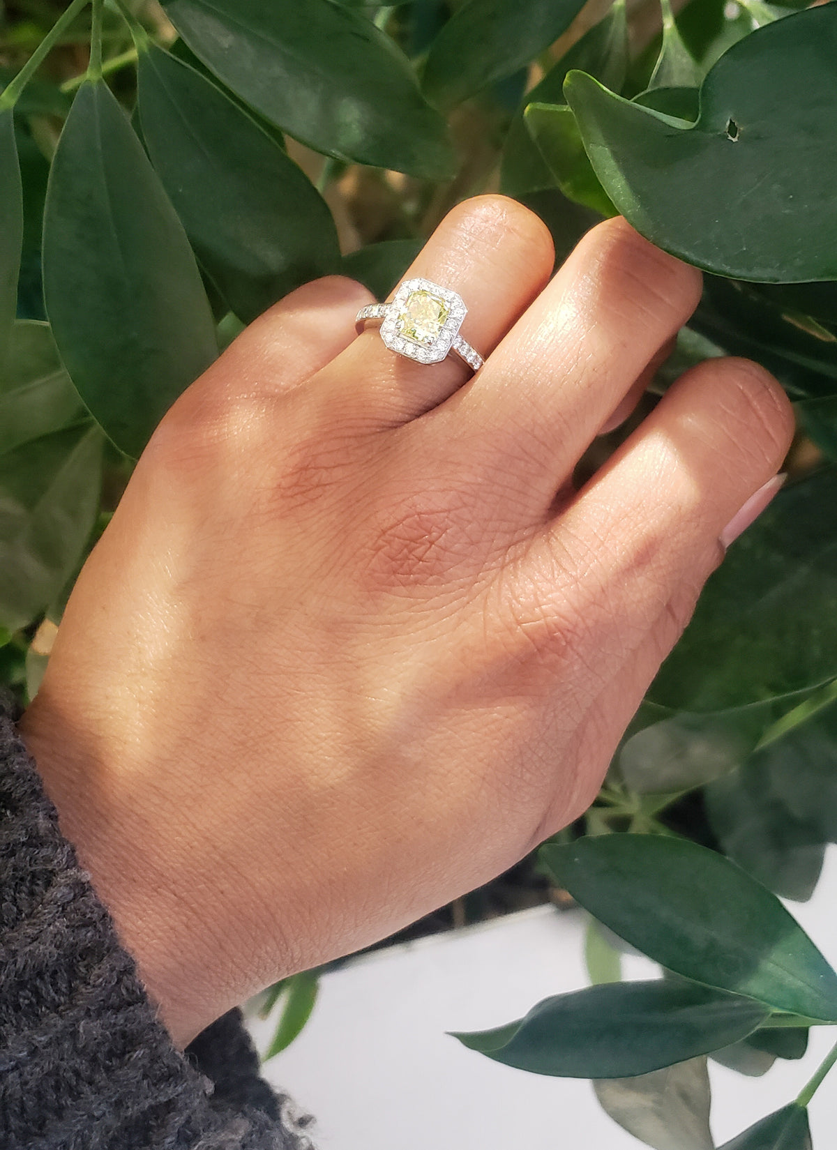 14K White Gold 1.64cttw Fancy Yellow  Cushion Cut Diamond Halo Engagement Ring, Size 6.5