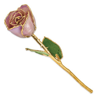 Gold and pink rose brooch on a white background