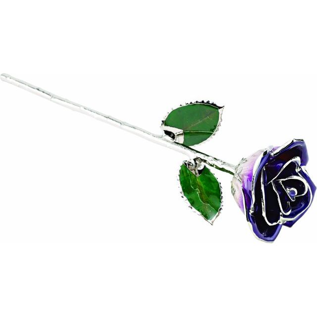 Platinum Plated Lacquered Purple Genuine Rose
