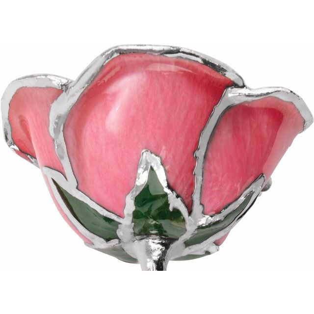 Platinum Plated Lacquered Pink Genuine Rose