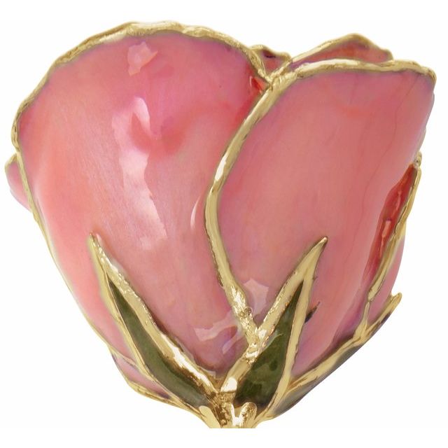 24K Gold Dipped Lacquered Pink Pearl Genuine Rose