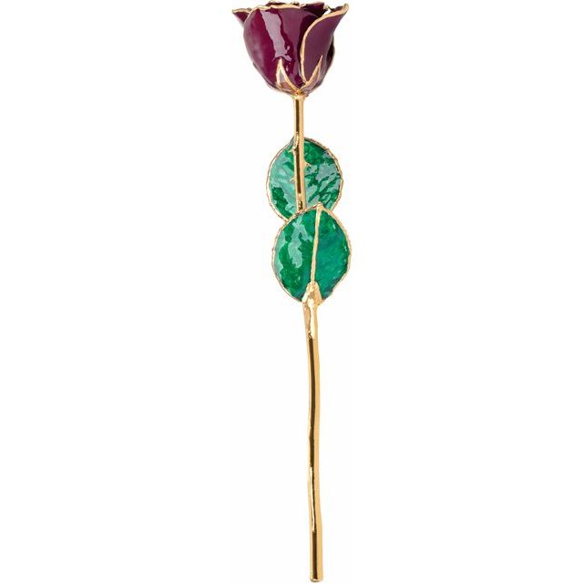 Rosa auténtica de color burdeos lacada bañada en oro de 24 quilates