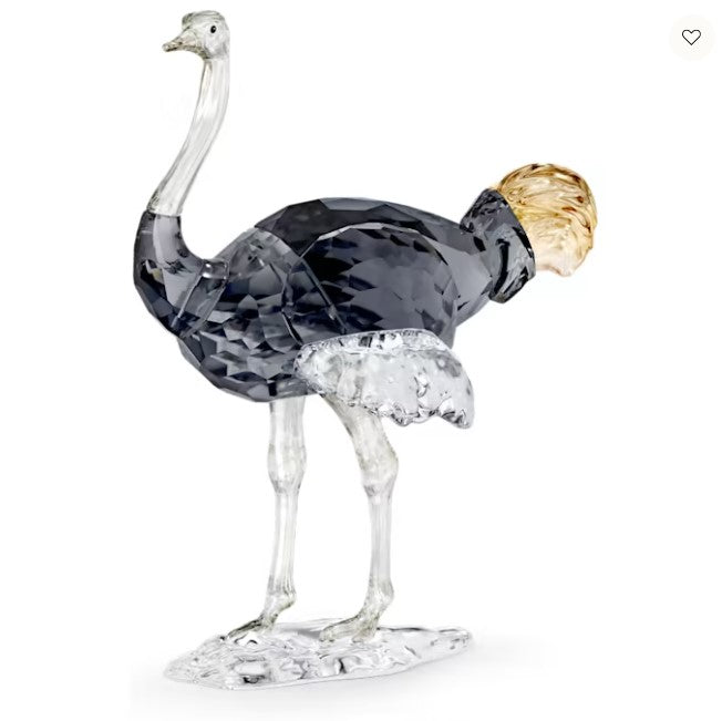 Swarovski Elegance of Africa SCS Ostrich Makena - 5636302- Discontinued