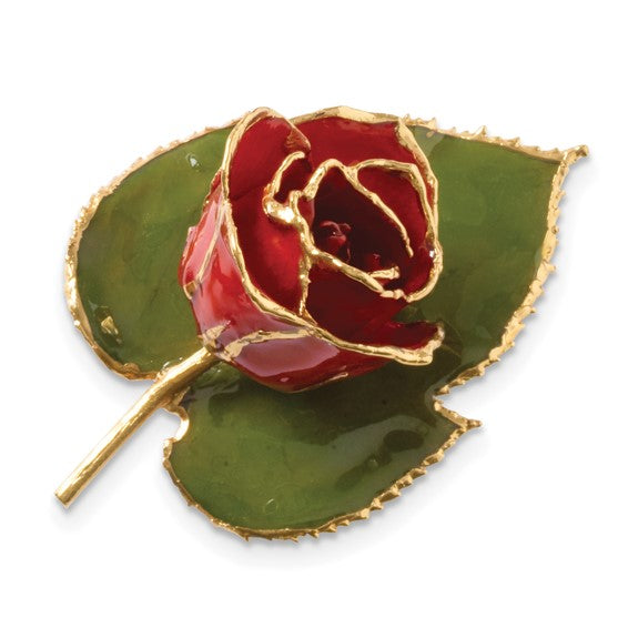 Pin/Boutonniere con rosa roja bañada en laca con adornos de oro de 24 quilates 
