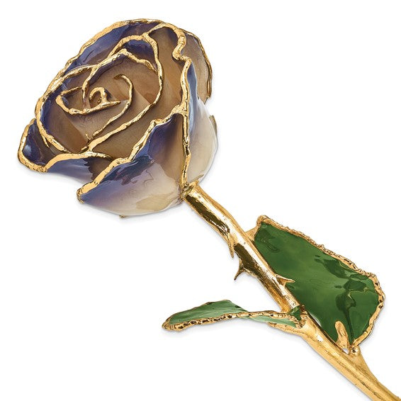 24K Gold Dipped Lacquered Genuine White / Twilight Pearl Rose